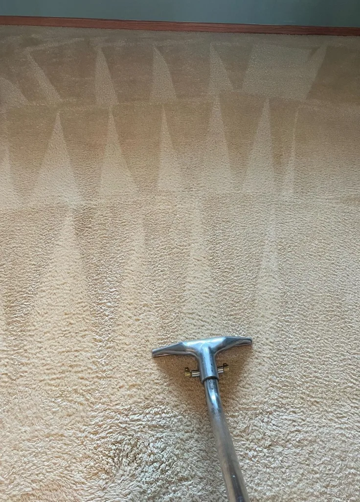 317b0edd d67a 4a32 b1a4 da412648e79d e1742248221642